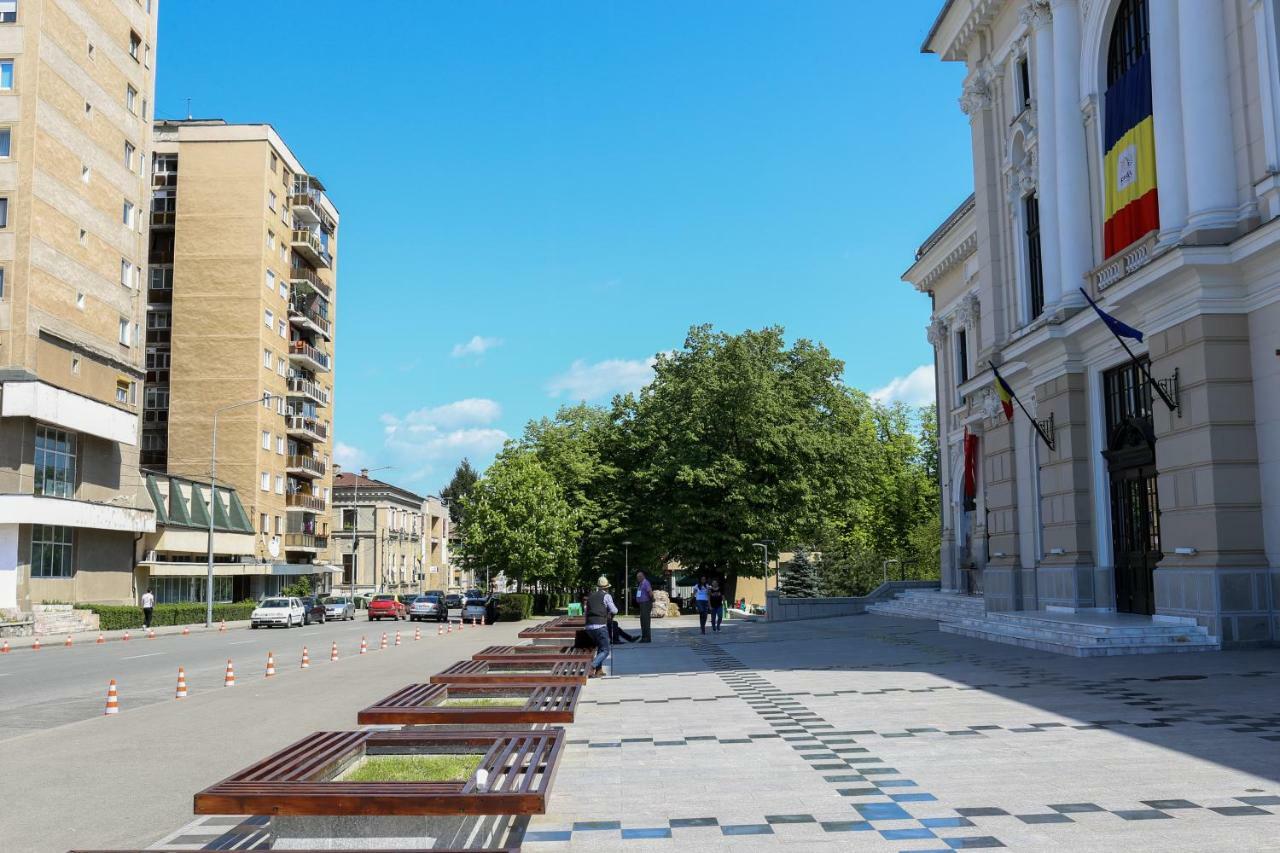 Apartament Central 1 دروبيتا تورنو سيفيرين المظهر الخارجي الصورة